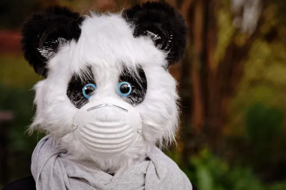 BetOriginal Kasino Kundeservice